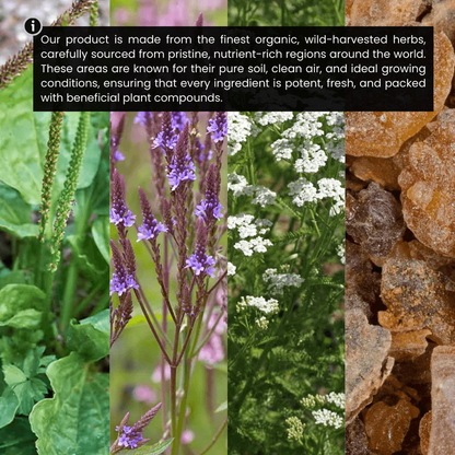 Mezcla de hierbas orgánicas para el apoyo linfático